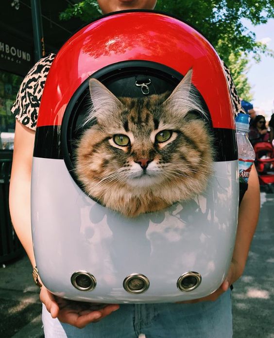 Sac à Dos Hublot pour Chat et Chien